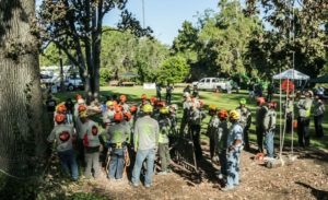 Tree Trimmers3 mid
