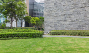 Commercia Landscape