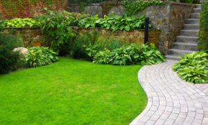landscape design