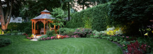 California Arborist