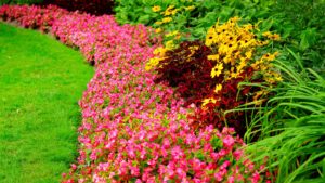 Flower Garden Designs